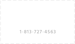 Call Devil Dog Mold Assessors