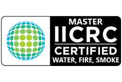 Devil Dog Mold Assessors - Professionally Certified