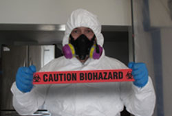 Devil Dog Mold Assessors - Excellent Service