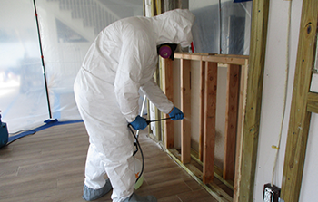 Devil Dog Mold Assessors Mold Remedy Services