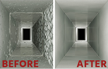 Devil Dog Mold Assessors HVAC Sanitizing