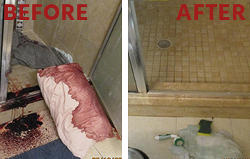 Devil Dog Mold Assessors Biotrauma Cleanup